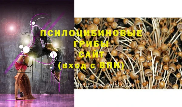 тгк Магадан