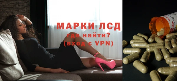 сатива Майский