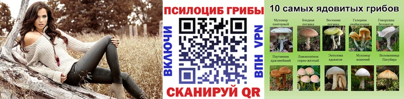 купить закладку  hydra зеркало  Псилоцибиновые грибы Cubensis  Соликамск 